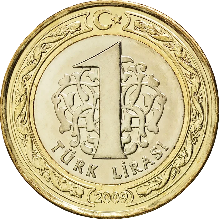 1 Türk Lirası